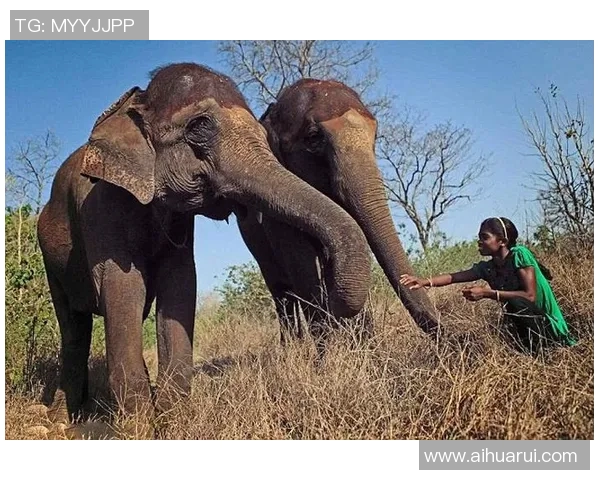 足球明星与空姐亲密合影展现职业魅力与青春活力的完美瞬间 足球明星与空姐亲密合影展现职业魅力与青春活力的完美瞬间